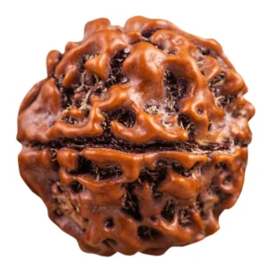 RUDRAKSHA